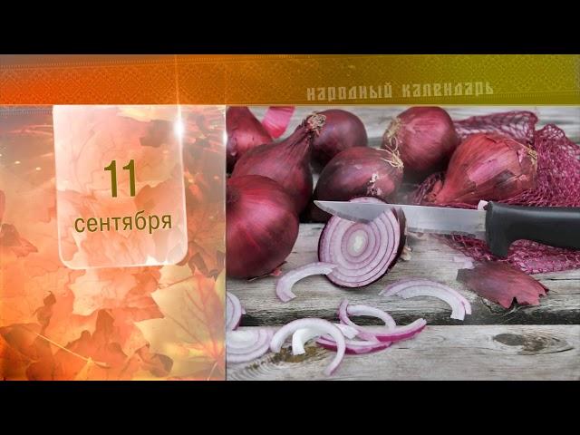 11 Сентября - Ежедневный Народный Календарь