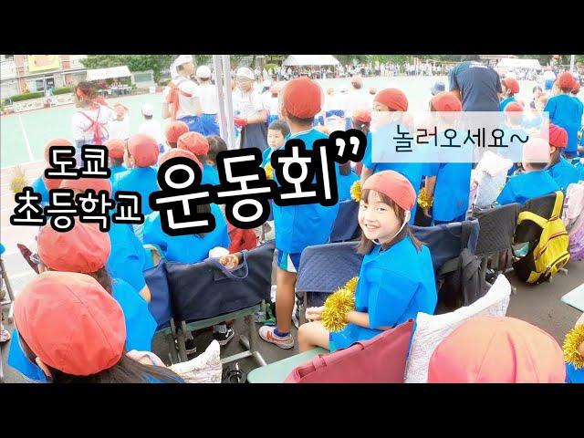 [도쿄일상] 한국과 조금 다른 일본 초등학교 운동회 | 한국인주부 일본일상VLOG