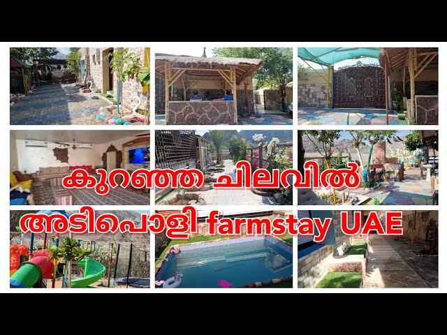 ഫുജൈറ farmstay വിശേഷങ്ങൾ കണ്ടാലോ?/Farmhouse Fujairah UAE/Best Staycation in Fujairah