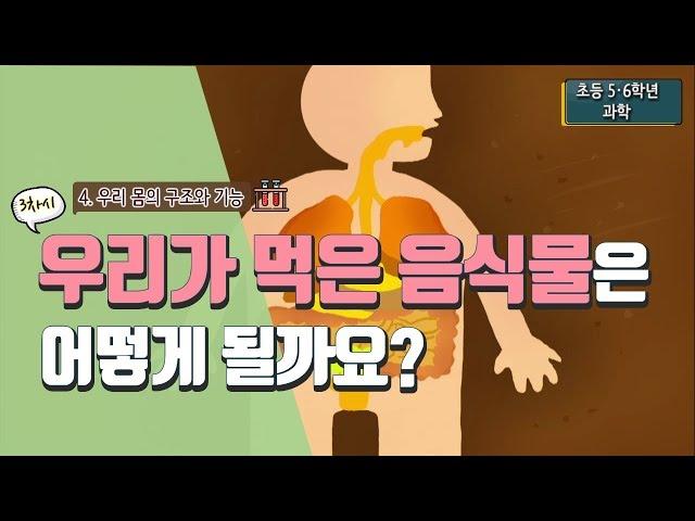 [초등 과학 6-2] 4. 우리 몸의 구조와 기능 - 3차시 우리가 먹은 음식물은 어떻게 될까요? : 소화기관