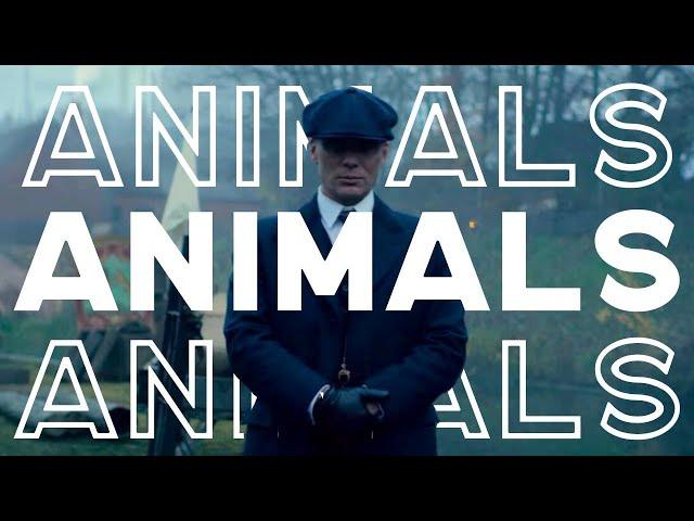 ANIMALS || PEAKY BLINDERS