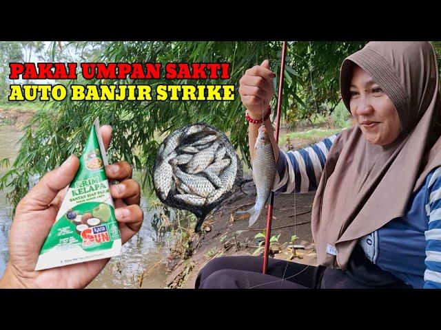 MANCING BARENG IBU NEGARA PAKAI UMPAN SAKTI MANDRAGUNA‼️BANJIR STRIKE