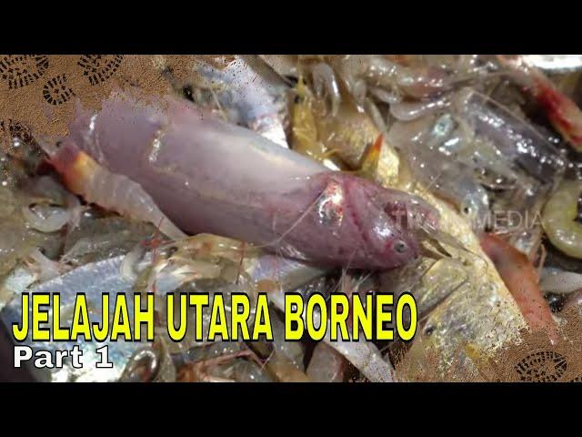 JELAJAH UTARA BORNEO | JEJAK PETUALANG (06/02/24) Part 1