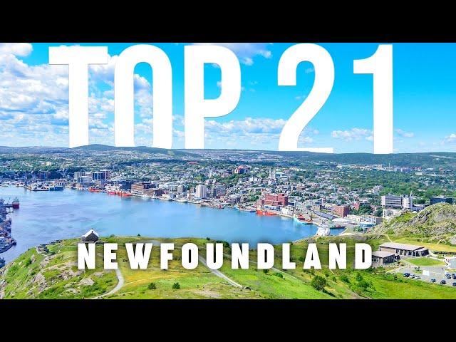 TOP 21 Things To Do In Newfoundland  Travel Guide