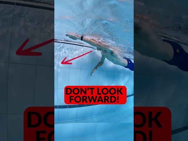 One Easy Fix to Swim Perfect Freestyle