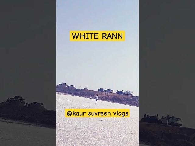 suvreen's visit to rann of Kutch| family vlog | road to Heaven|