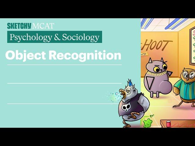 Object Recognition: Top-Down and Bottom-Up Process (Psych/Soc) | Sketchy MCAT