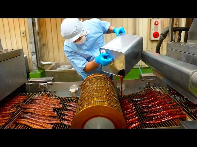 The process from domestic eel farming to processing. Japan's organic eel farm.