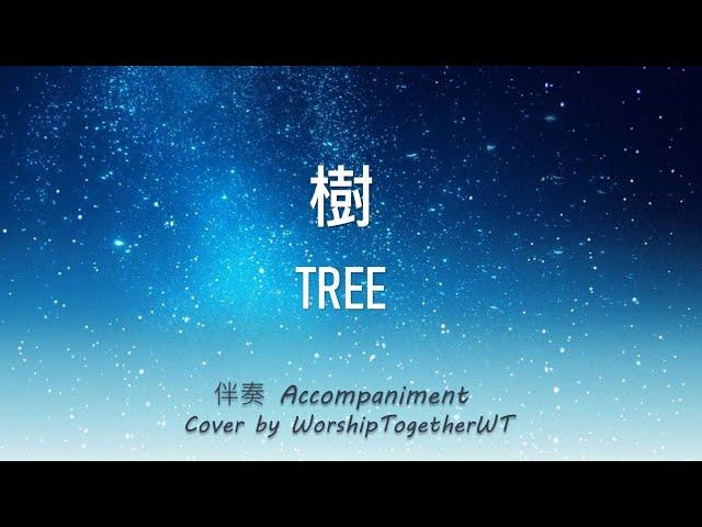 树 Tree 诗歌钢琴伴奏 Hymn Gospel Accompaniment Piano Cover 歌词字幕WorshipTogetherWT V109