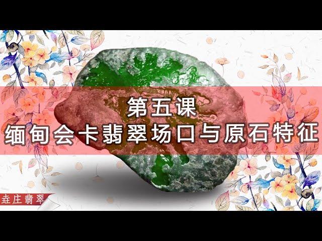 緬甸會卡翡翠場口及其賭石特徵 #翡翠 #翡翠原石 #賭石 #A貨 【翡翠原石知識技巧講堂-五】