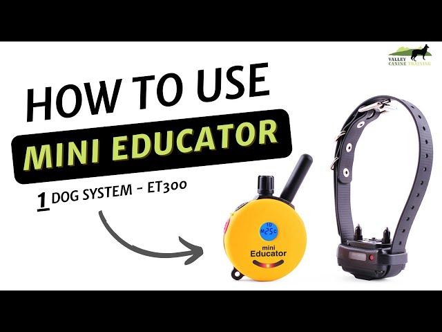 How to use your Ecollar Mini Educator - Et 300 One Dog System from Ecollar Technologies