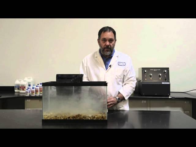 DrTim's Aquatics --- How to Use Our One and Only Live Nitrifying Bacteria