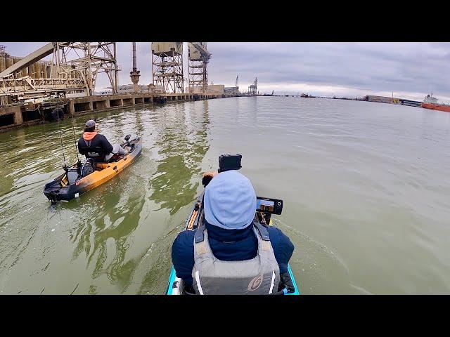 Dropping live mullet to the bottom Galveston Ship Channel (S6 E43)