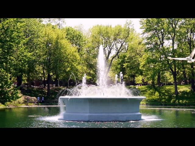 Parc La Fontaine In Montreal