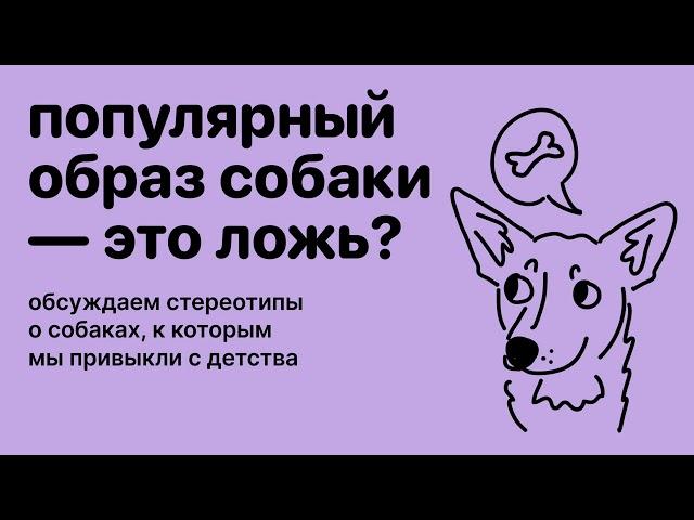 Популярный образ собаки — это ложь? Стереотипы о собаках, часть 2