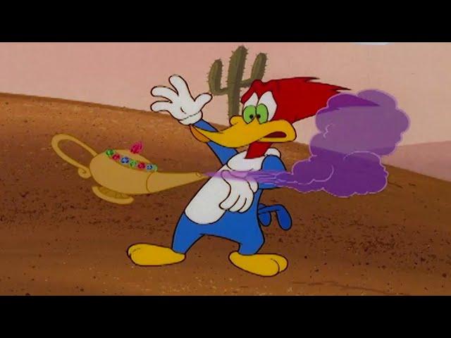 Woody's Magic Lamp | 1 Hour of 90s Cartoons | Woody Woodpecker