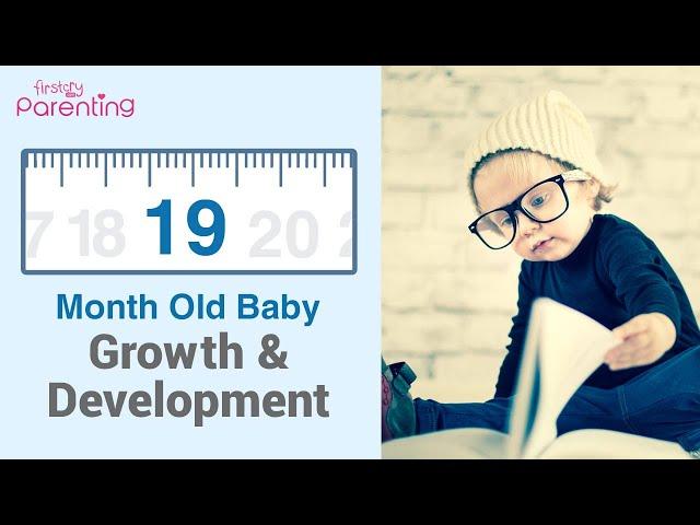 Your 19 Month Old Baby's Growth and Development