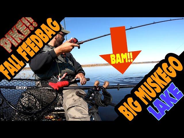 Awesome Kayak Fishing for Northern Pike using Wakebaits on Big Muskego Lake