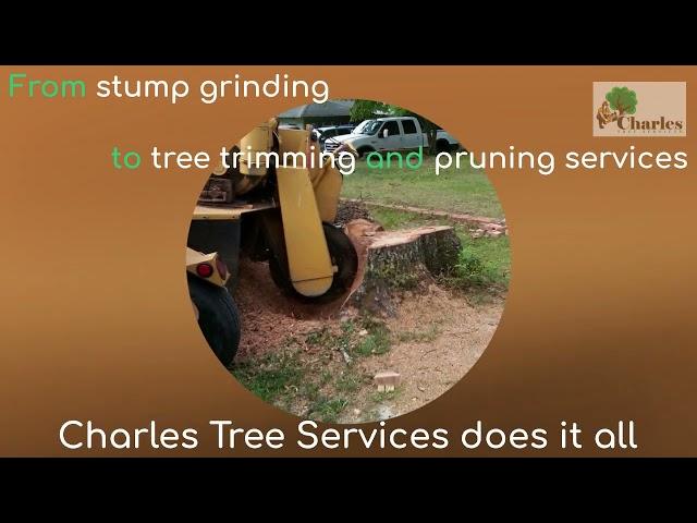 Charles Tree Services - tree removal yarrawarrah