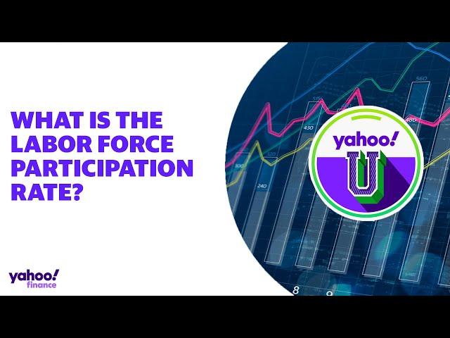 What is the labor force participation rate?