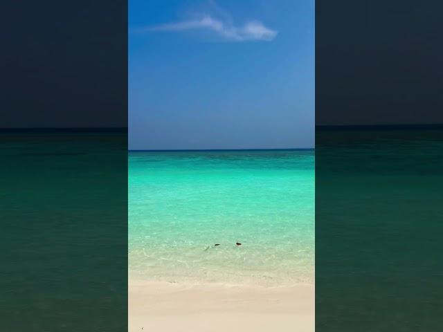 Райские острова #maldives #travel