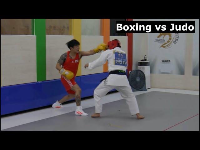 Boxer Shatters Judoka's World With Punches