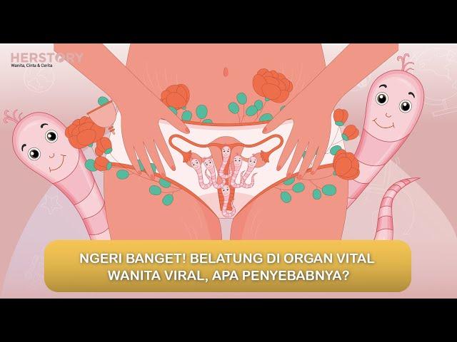 NGERI BANGET! BELATUNG DI ORGAN VITAL WANITA VIRAL, APA PENYEBABNYA?