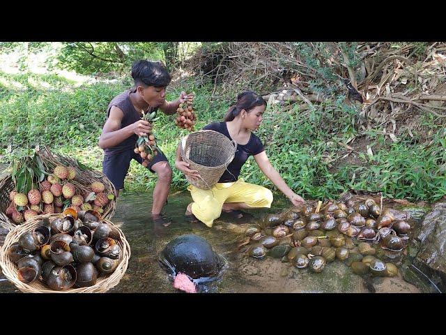 Survival in the rainforest, Catch and cook snails for survival food, Survival cooking