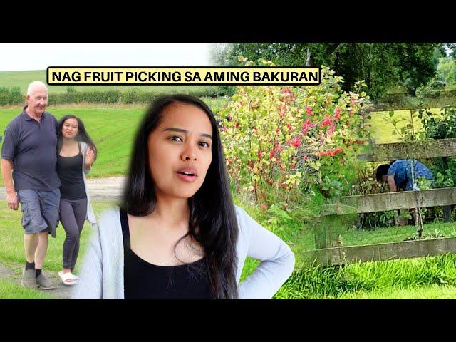 FILIPINA BRITISH LIFE IN UK: NAG FRUIT PICKING ANG EX NI MISTER SA AMING BAKURAN