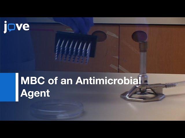 MBC of an Antimicrobial Agent for Planktonic Cells and Biofilm Cells | Protocol Preview