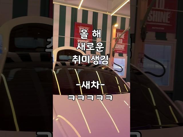 #테슬라  #모델y #자동세차 #테슬라세차모드
