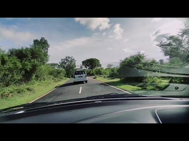 On Road Time lapse!! | Mudumalai Wildlife | Swift | Gully-Club