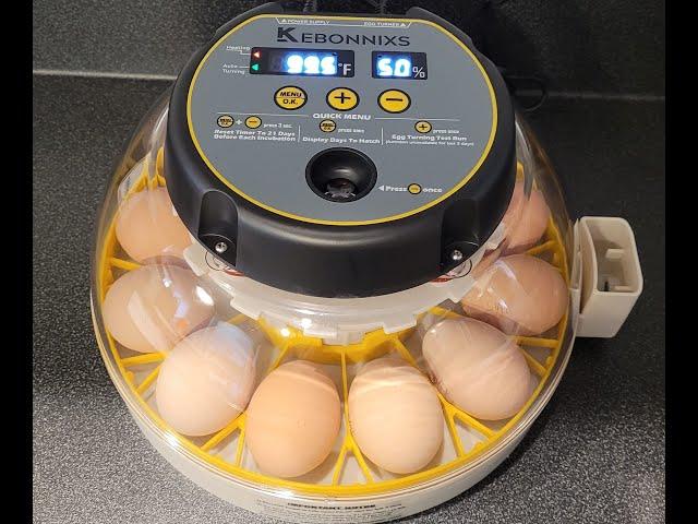 Incubating Chicken Eggs! Step-by-Step.  Using The Kebonnixs Egg Incubator (My Initial Review). 2023