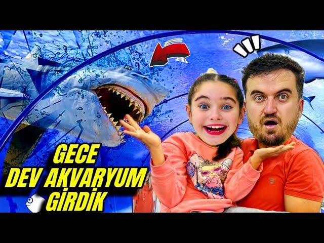 ELİF SİNEM GECE GECE DEV AKVARYUM TÜNELİNE GİRDİK !! AKVARYUM TURU !!