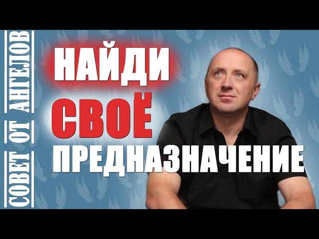 Найди свое предназначение. Совет от Ангелов - Михаил Агеев