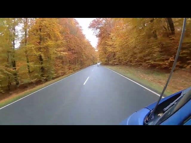 Fall , driving through forrest