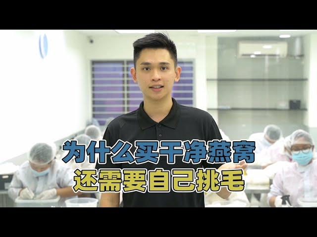 为什么买了干净的燕窝回家还需要自己挑毛？逸展燕窝带你1分钟了解