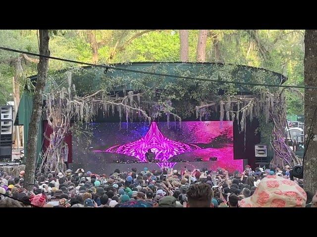 Tipper Twilight Set | Tipper & Friends | Spirit of Suwannee Music Park #tipper