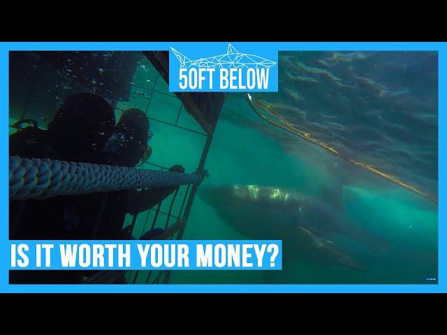 White Shark Cage Diving | Worth It? | Travel Review