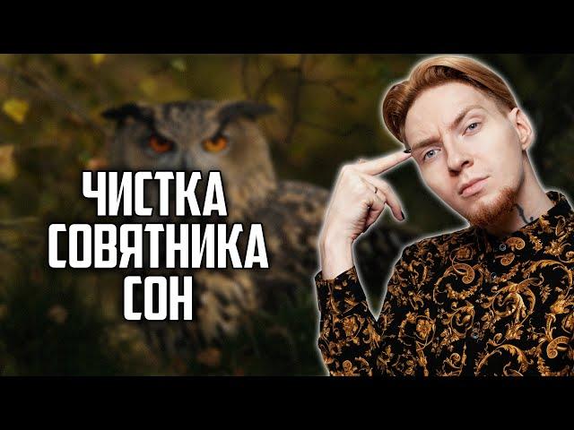 ЧИСТКА СОВЯТНИКА, Сон I Хайлайты со стрима