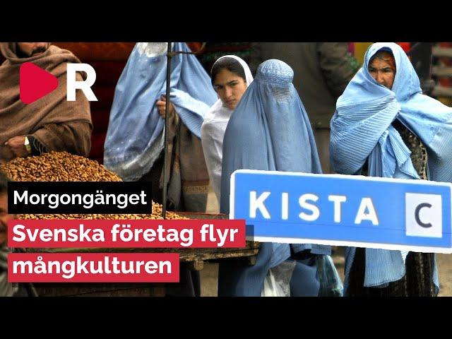 Morgongänget: Svenska företag flyr mångkulturen