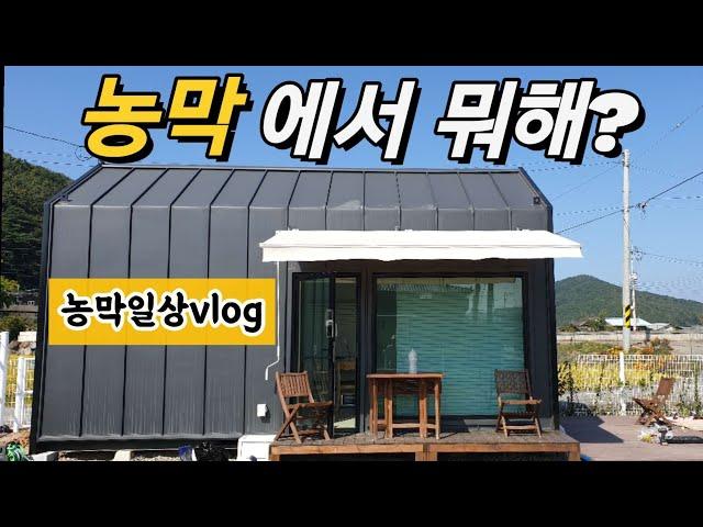 농막일상 시골 브이로그 5도2촌 /내가 주말 농막에 도착하면 하는일