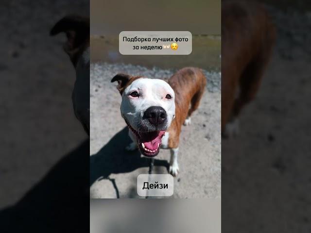 Только посмотрите на них️