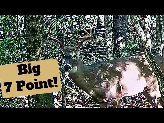 First Deer Hunt 2024 Ohio Public Land -  Saw a Shooter Buck