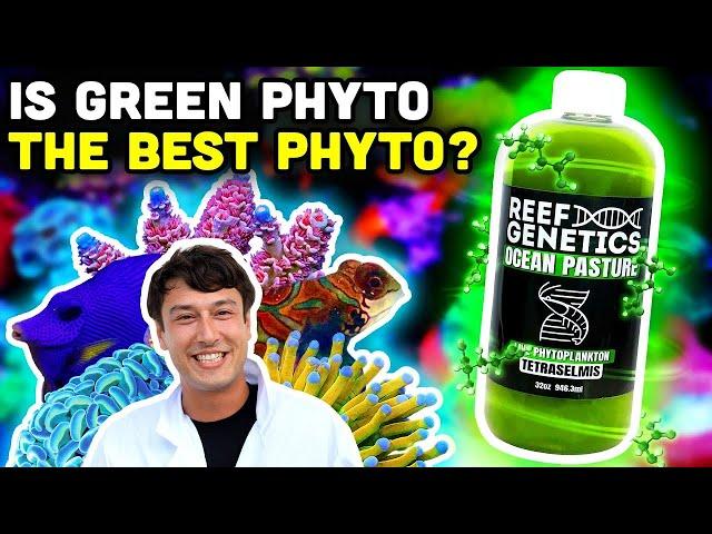 Green Phytoplankton: Enhancing Coral Growth, Culturing Yourself, and MUCH MORE!