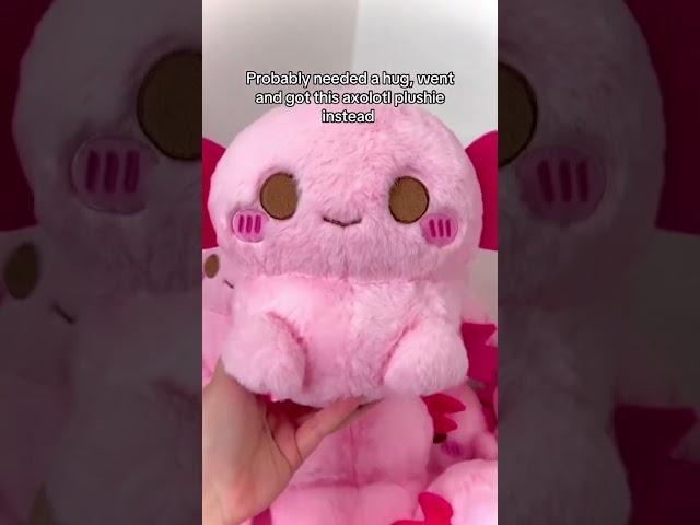 Now I will hug the plushie  #smallbiz #cute #axolotl #axolotls