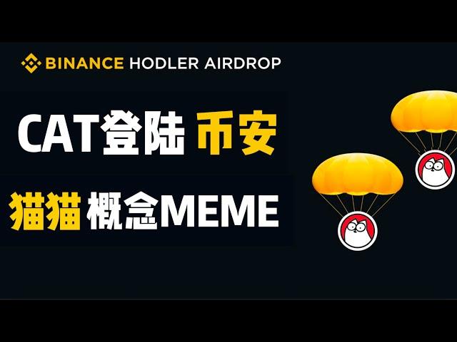 币安最新Holder空投$CAT！Web2网红猫猫登陆币安 什么是CAT？如何购买MeMe CAT代币？如何注册币安？#meme #币安  #binance