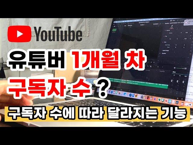 구독자 수에 따라 달라지는 기능 / 초보 유튜버 유튜브 1개월 차의 느낀 점