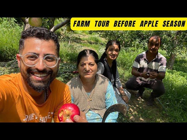 Aaj Humne Apple Season Se Pehle Kiya Farm Tour // Aaj Humne Nikale Apple Or Pears Direct From  Tree