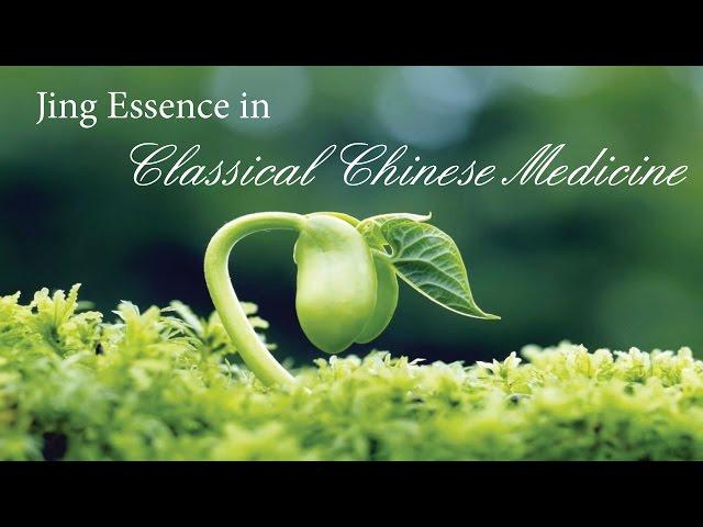 Lia Andrews Show; Dr. Phil Garrison Classical Chinese Medicine & Jing